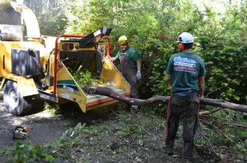 tree services Long Neck